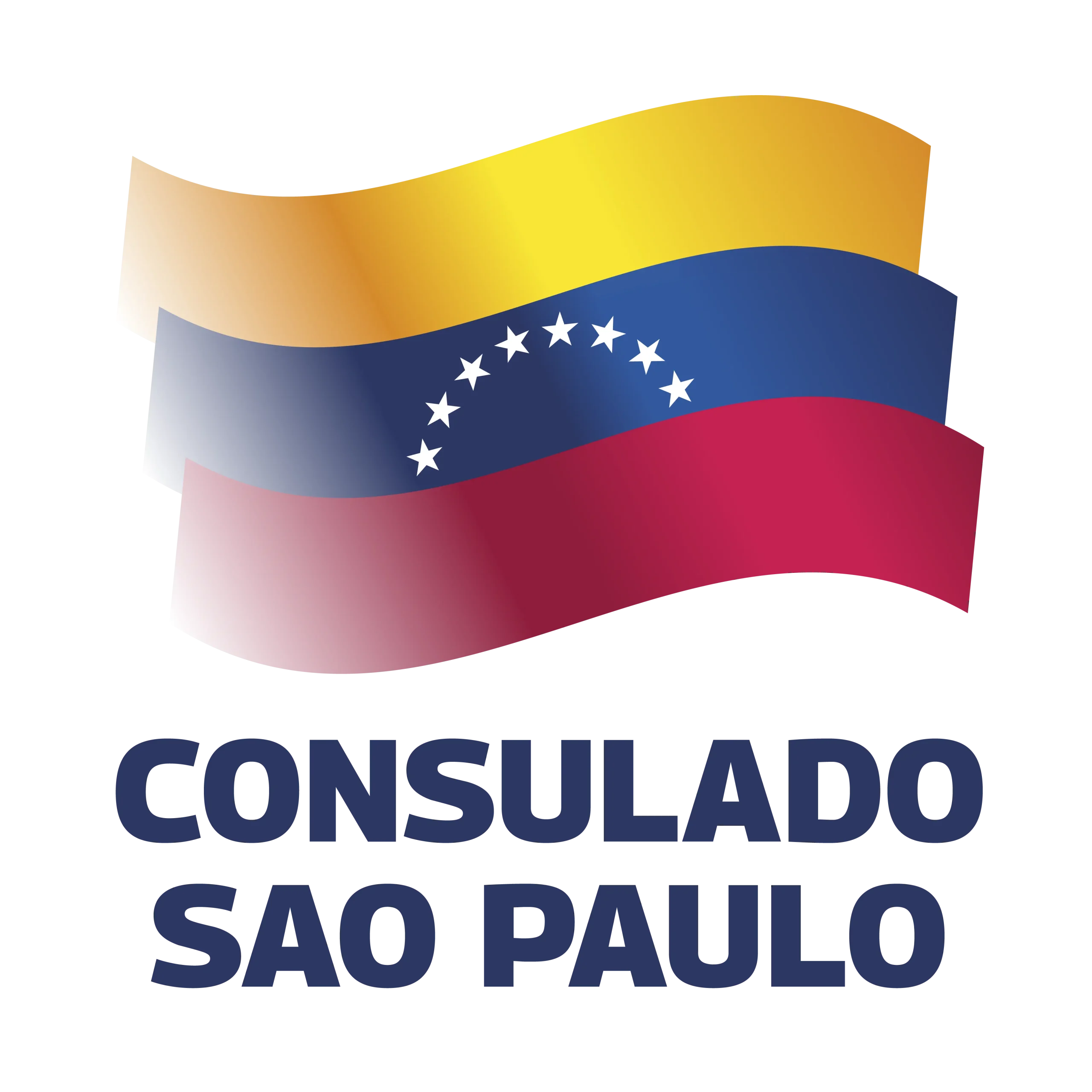 Logo Embajadas y Consulares 41